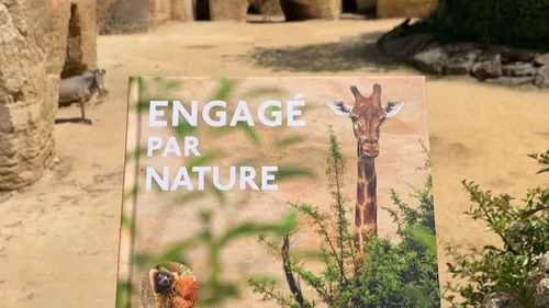 Le Bioparc de Doué-la-Fontaine fête ses 60 ans ! 